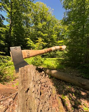Image post by @motorcityaxe on Instagram