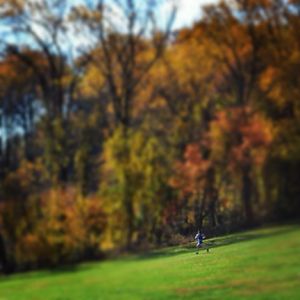 Image post by @hofstratrackxc on Instagram