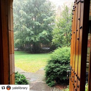 Image post by @yalevolleyball on Instagram