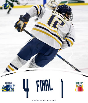 Image post by @augiemhockey on Instagram
