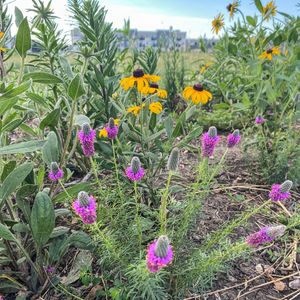 Image post by @fargoparks on Instagram
