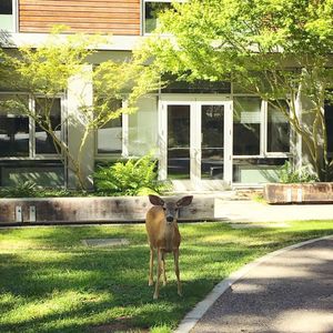 Image post by @ucsc on Instagram