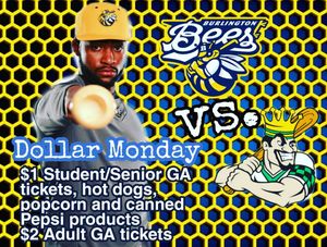Image post by @burlington_bees on Instagram