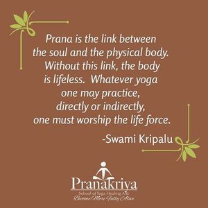 Image post by @pranakriya on Instagram
