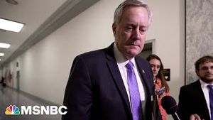 Video post by @msnbc on YouTube