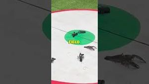 Video post by @whistlesports on YouTube