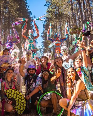 Image post by @electric_forest on Instagram