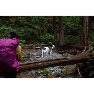 Image post by @joshkingphotography on Instagram