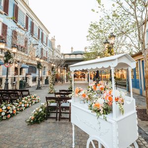 Image post by @disneyweddings on Instagram
