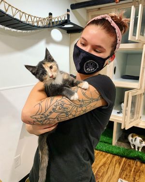 Image post by @spokhumanesoc on Instagram