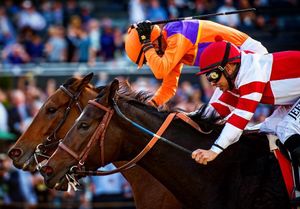 Image post by @breederscup on Instagram