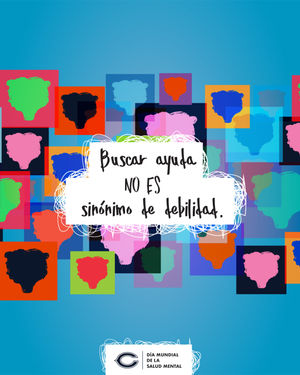 Image post by @bears_es on Instagram