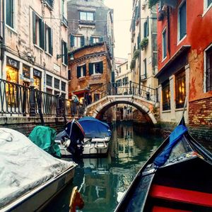 Image post by @cimbaitaly on Instagram