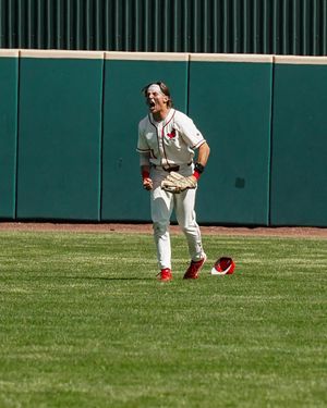 Image post by @isuredbirdbaseball on Instagram