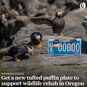 Image post by @theoregonian on Instagram