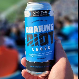 Image post by @roaringriot on Instagram