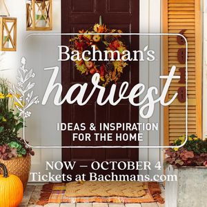 Image post by @shopbachmans on Instagram