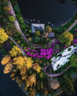 Image post by @dronepals on Instagram
