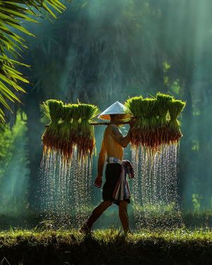 Image post by @fubiz on Instagram
