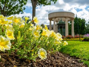 Image post by @utulsa on Instagram