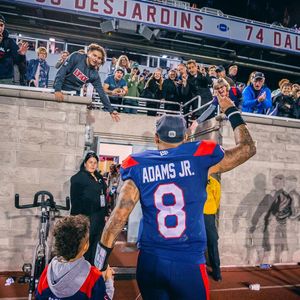 Image post by @mtlalouettes on Instagram