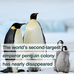 Image post by @cnnclimate on Instagram