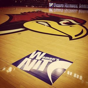 Image post by @isuredbirds on Instagram