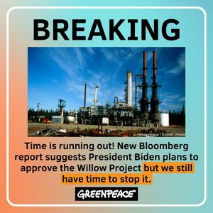 Image post by @greenpeaceusa on Instagram