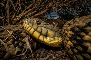 Image post by @natgeo on Instagram