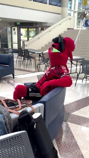 Video post by @redbullnewyork on TikTok