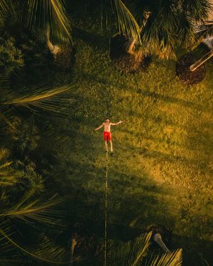 Image post by @serfermedia on Instagram