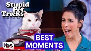 Video post by @tbs on YouTube