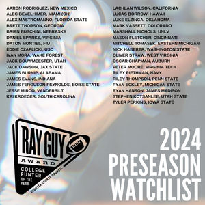 Image post by @RayGuyAward on Twitter/X