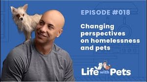 Video post by @bluebuffalo on YouTube