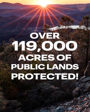 Image post by @publiclandsshop on Instagram