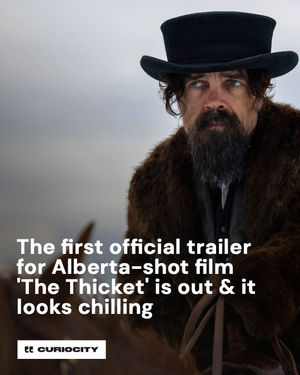 Image post by @curiocitycalgary on Instagram