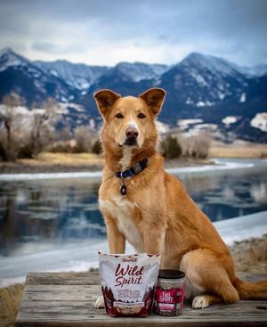 Image post by @triumphpetfood on Instagram