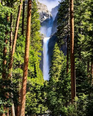 Image post by @nationalparkscollective on Instagram