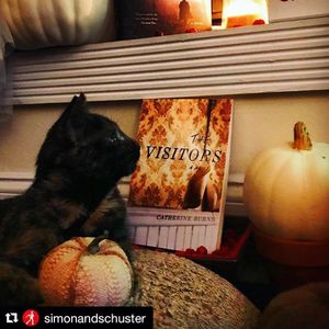 Image post by @gallerybooks on Instagram