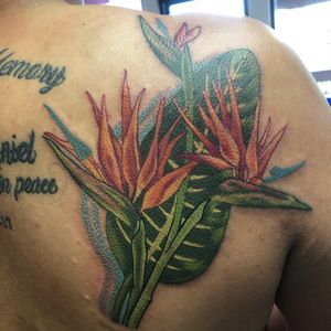 Image post by @clearvisiontattoo on Instagram