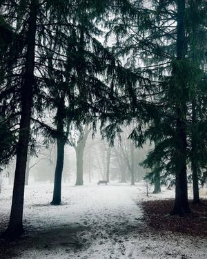 Image post by @mtl_unscripted on Instagram