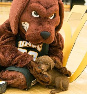 Image post by @umbclife on Instagram