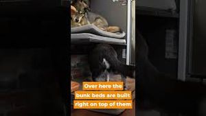 Video post by @tinyhouseexpedition on YouTube