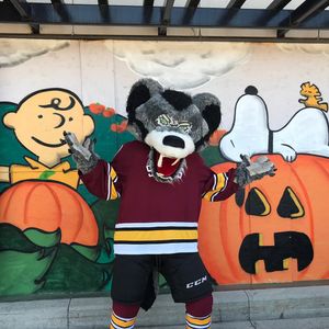 Image post by @chicagowolves on Instagram