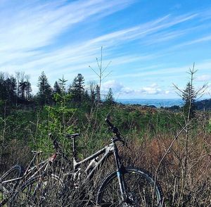 Image post by @tourismabbotsford on Instagram