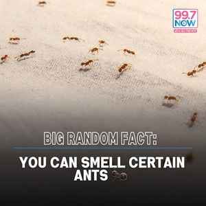 Image post by @997now on Instagram