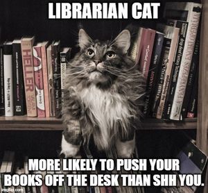 Image post by @stjohnscountylibrary on Instagram