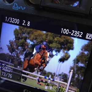 Image post by @snaffle_it on Instagram