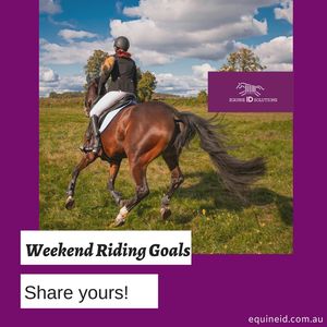 Image post by @equineidsolutions on Instagram