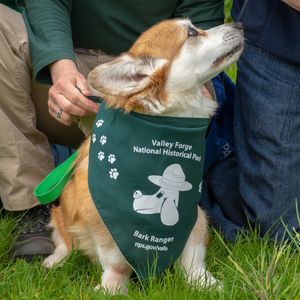Image post by @nationalparktrust on Instagram